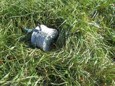 Cows Without Legs, Part 2: Forage Management Image